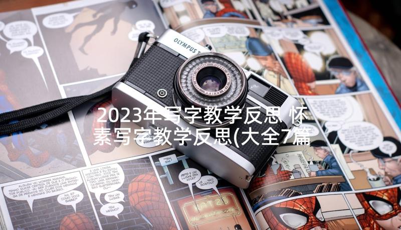 2023年写字教学反思 怀素写字教学反思(大全7篇)