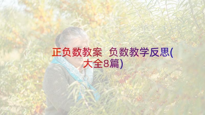 正负数教案 负数教学反思(大全8篇)