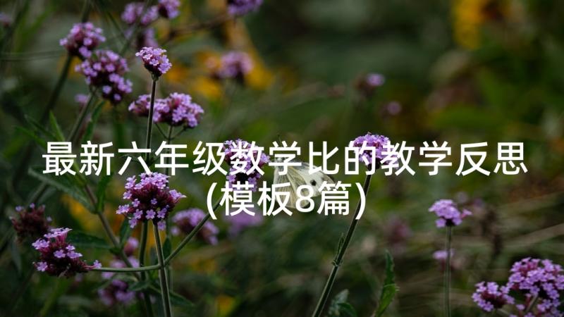 最新六年级数学比的教学反思(模板8篇)