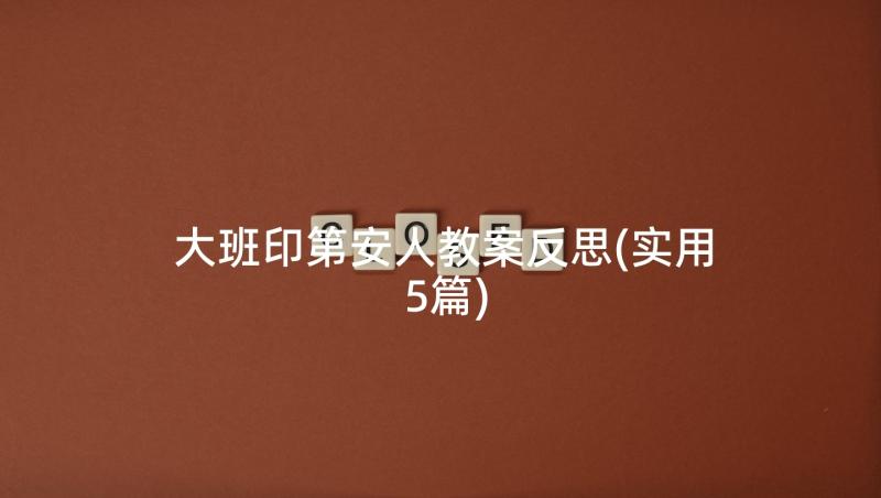 大班印第安人教案反思(实用5篇)