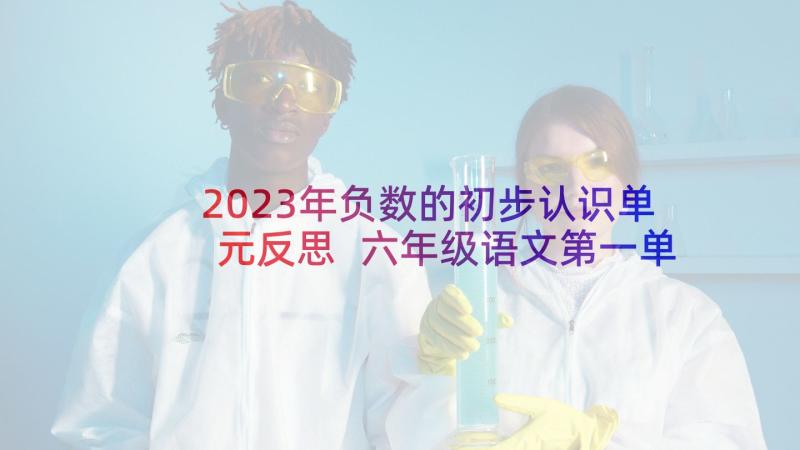 2023年负数的初步认识单元反思 六年级语文第一单元教学反思(实用10篇)