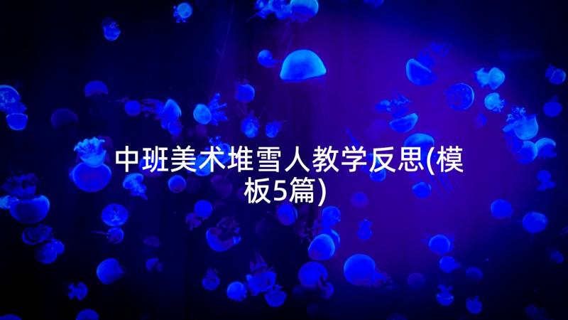 中班美术堆雪人教学反思(模板5篇)