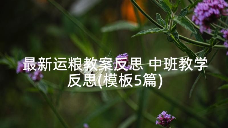 最新运粮教案反思 中班教学反思(模板5篇)