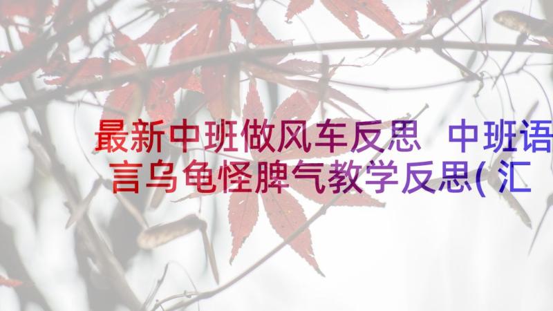 最新中班做风车反思 中班语言乌龟怪脾气教学反思(汇总8篇)