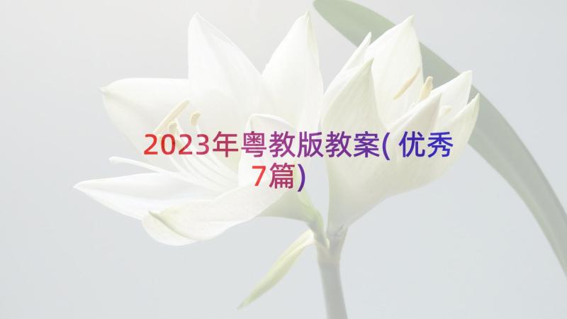 2023年粤教版教案(优秀7篇)