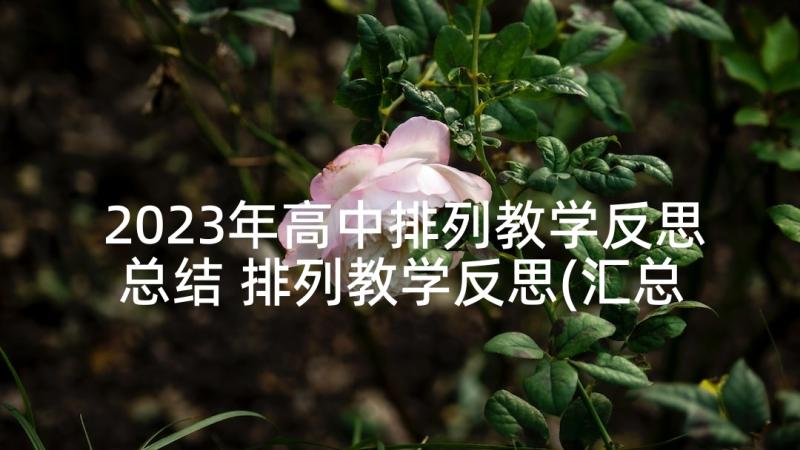 2023年高中排列教学反思总结 排列教学反思(汇总5篇)