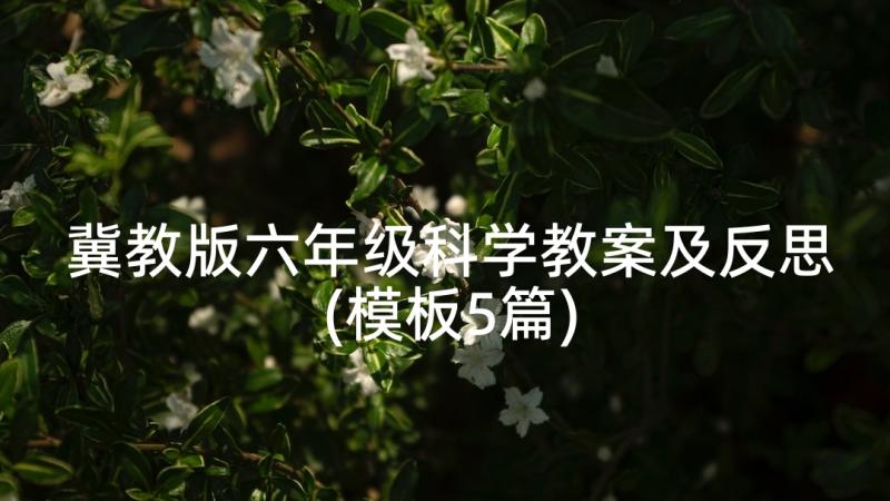 冀教版六年级科学教案及反思(模板5篇)