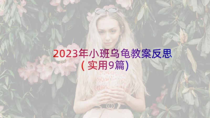 2023年小班乌龟教案反思(实用9篇)