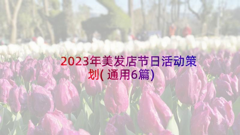 2023年美发店节日活动策划(通用6篇)