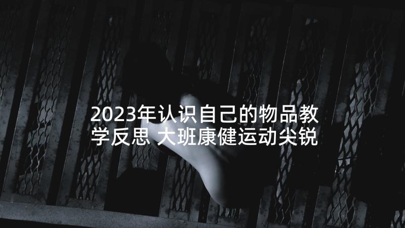 2023年认识自己的物品教学反思 大班康健运动尖锐的物品教学反思(优质5篇)