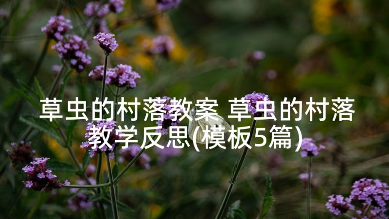 草虫的村落教案 草虫的村落教学反思(模板5篇)