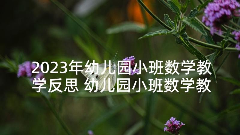 2023年幼儿园小班数学教学反思 幼儿园小班数学教案分饼儿及教学反思(精选5篇)