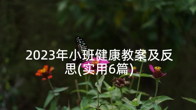 2023年小班健康教案及反思(实用6篇)