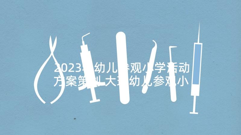 2023年幼儿参观小学活动方案策划 大班幼儿参观小学活动方案(大全6篇)