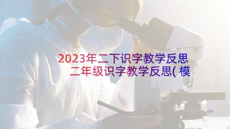 2023年二下识字教学反思 二年级识字教学反思(模板5篇)