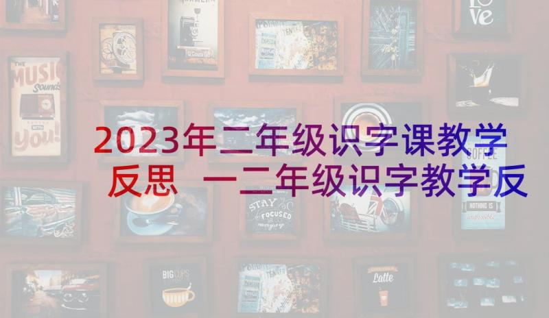 2023年二年级识字课教学反思 一二年级识字教学反思(精选10篇)