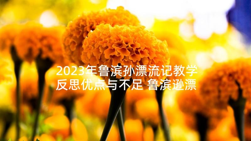 2023年鲁滨孙漂流记教学反思优点与不足 鲁滨逊漂流记的教学反思(模板5篇)