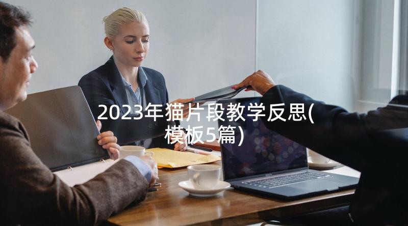 2023年猫片段教学反思(模板5篇)