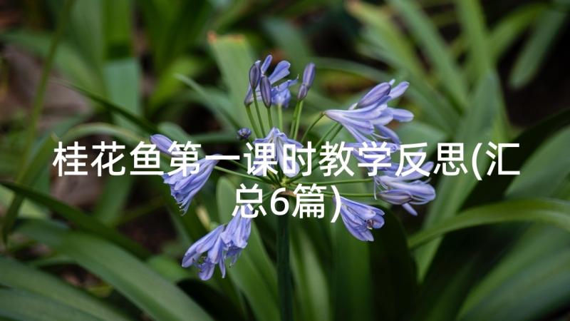 桂花鱼第一课时教学反思(汇总6篇)