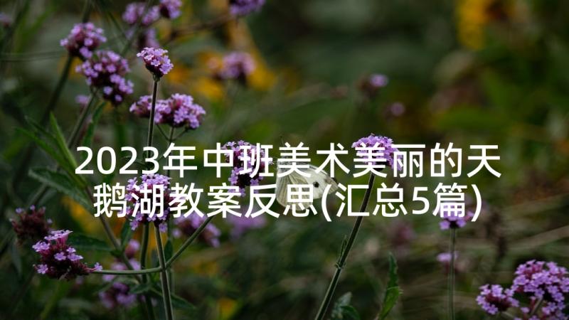 2023年中班美术美丽的天鹅湖教案反思(汇总5篇)