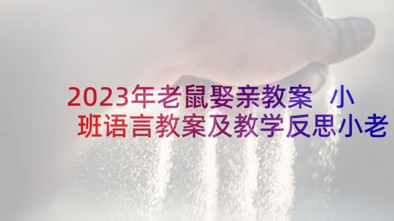 2023年老鼠娶亲教案 小班语言教案及教学反思小老鼠漫长的一夜(模板9篇)