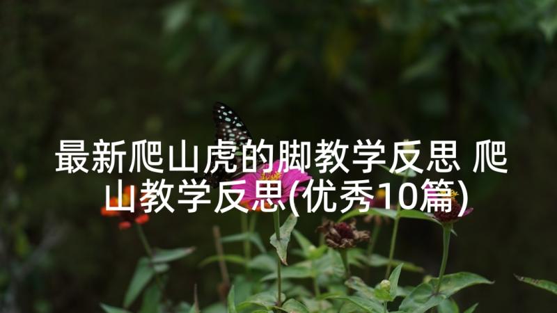 最新爬山虎的脚教学反思 爬山教学反思(优秀10篇)