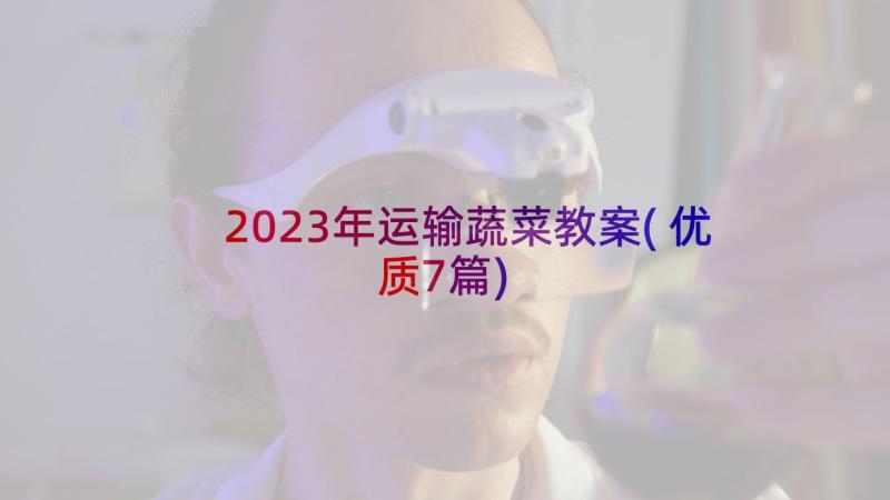 2023年运输蔬菜教案(优质7篇)