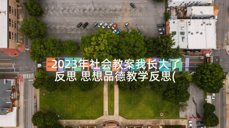 2023年社会教案我长大了反思 思想品德教学反思(大全7篇)