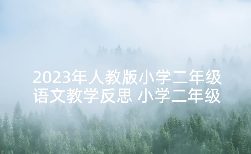 2023年人教版小学二年级语文教学反思 小学二年级语文教学反思(模板7篇)