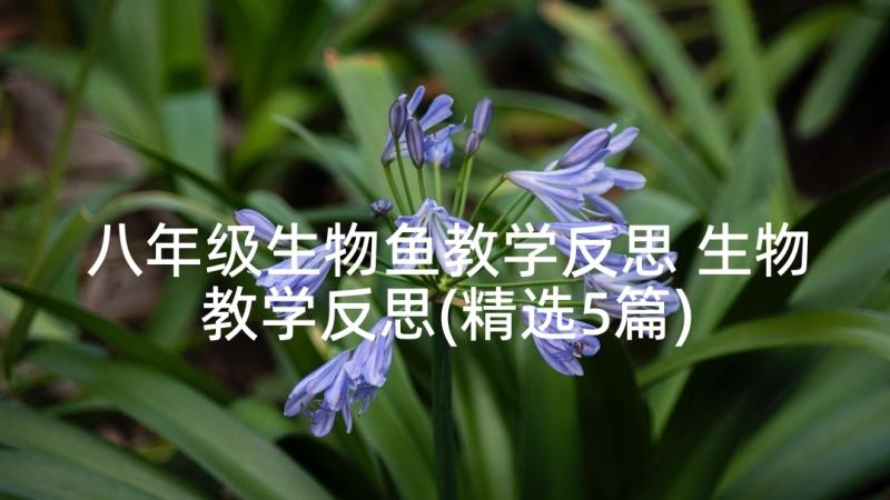 八年级生物鱼教学反思 生物教学反思(精选5篇)