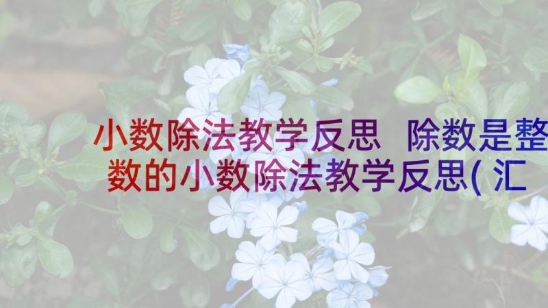 小数除法教学反思 除数是整数的小数除法教学反思(汇总10篇)