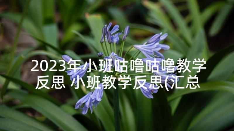 2023年小班咕噜咕噜教学反思 小班教学反思(汇总9篇)