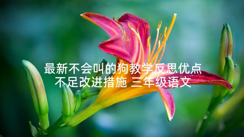 最新不会叫的狗教学反思优点不足改进措施 三年级语文教学反思(通用10篇)