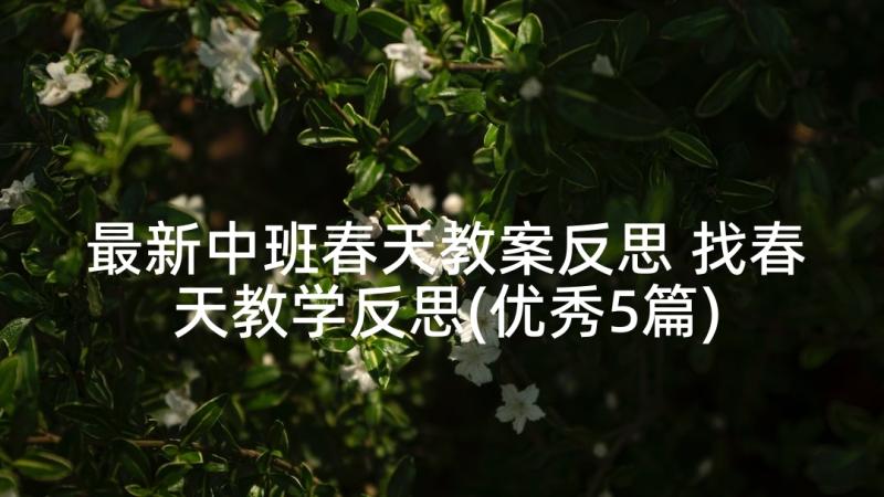 最新中班春天教案反思 找春天教学反思(优秀5篇)