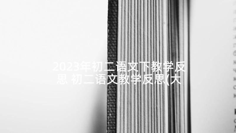 2023年初二语文下教学反思 初二语文教学反思(大全10篇)