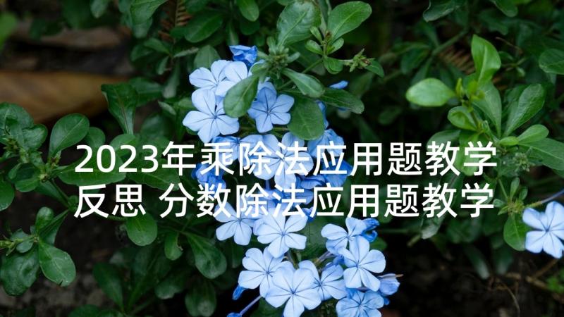 2023年乘除法应用题教学反思 分数除法应用题教学反思(模板5篇)