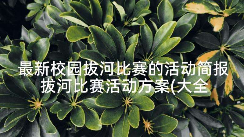 最新校园拔河比赛的活动简报 拔河比赛活动方案(大全6篇)