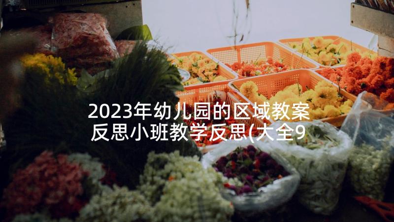 2023年幼儿园的区域教案反思小班教学反思(大全9篇)