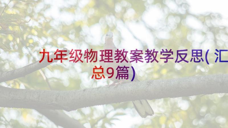 九年级物理教案教学反思(汇总9篇)