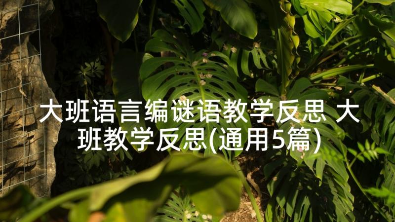 大班语言编谜语教学反思 大班教学反思(通用5篇)