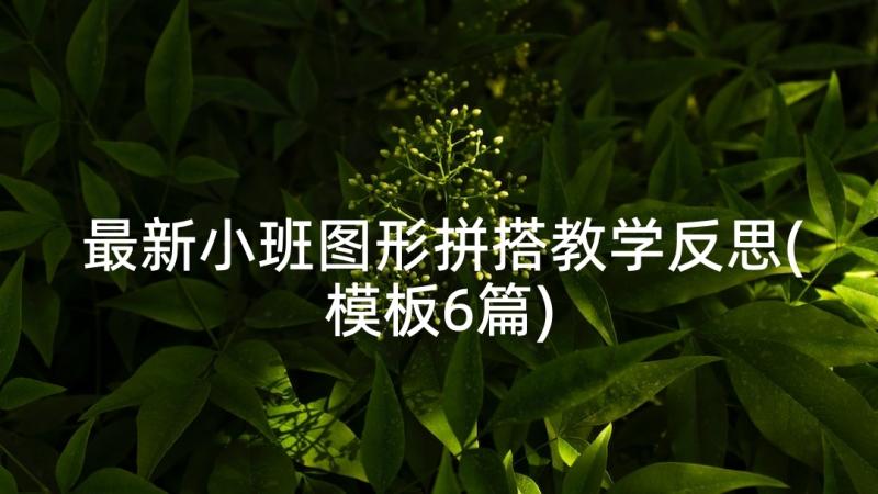 最新小班图形拼搭教学反思(模板6篇)