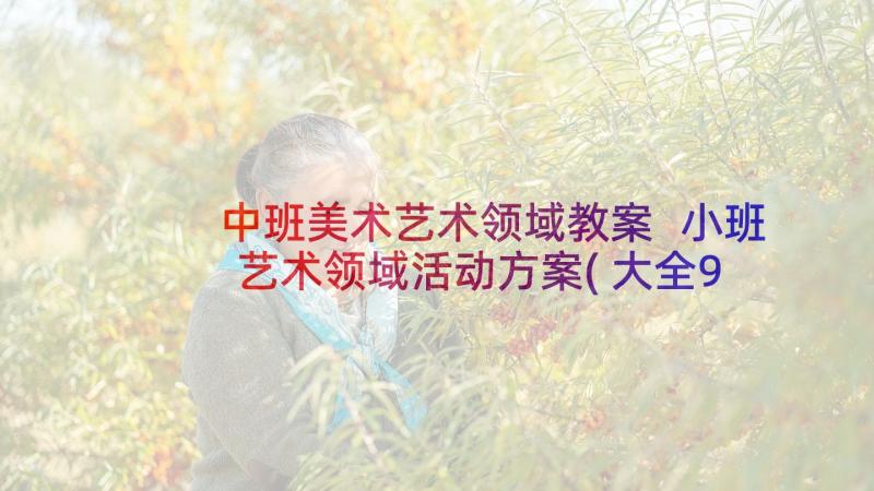 中班美术艺术领域教案 小班艺术领域活动方案(大全9篇)