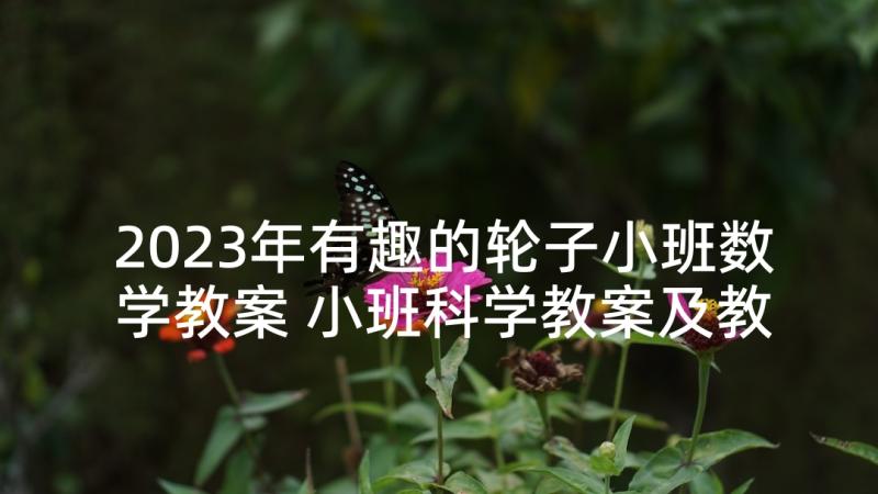 2023年有趣的轮子小班数学教案 小班科学教案及教学反思有趣的魔术瓶(优秀5篇)