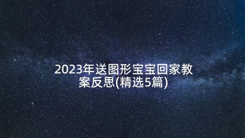 2023年送图形宝宝回家教案反思(精选5篇)