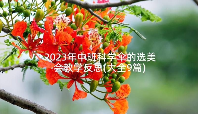 2023年中班科学伞的选美会教学反思(大全9篇)