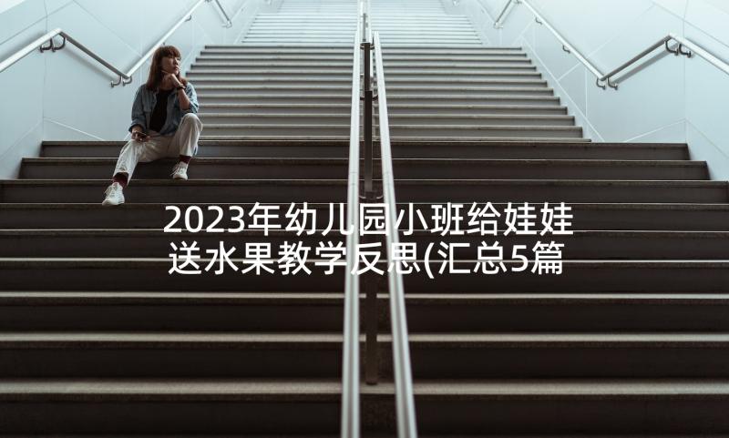 2023年幼儿园小班给娃娃送水果教学反思(汇总5篇)