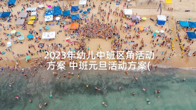 2023年幼儿中班区角活动方案 中班元旦活动方案(精选7篇)