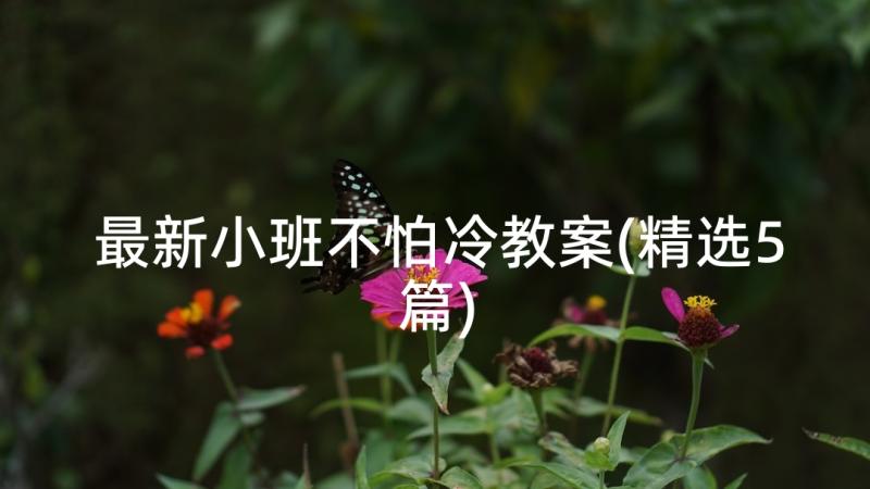 最新小班不怕冷教案(精选5篇)