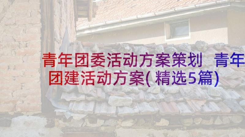 青年团委活动方案策划 青年团建活动方案(精选5篇)