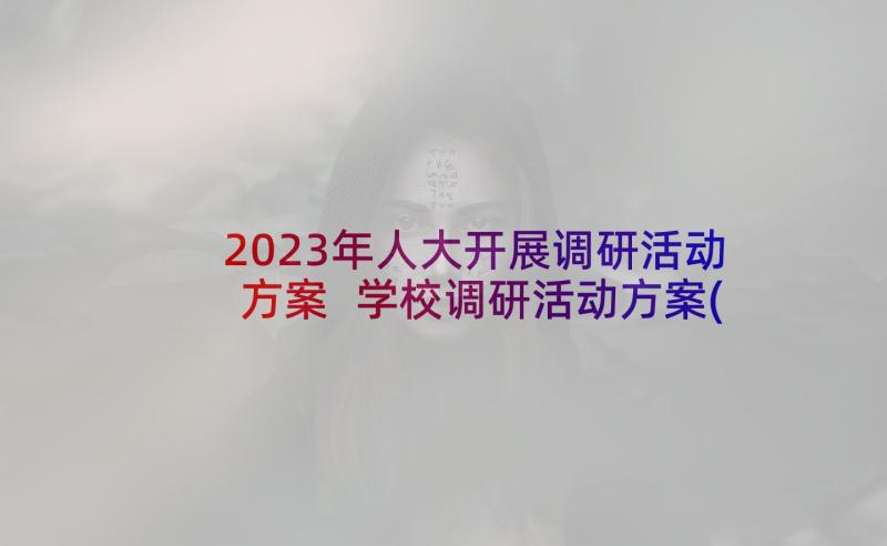 2023年人大开展调研活动方案 学校调研活动方案(优质6篇)